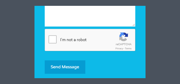 realplaces-recaptcha